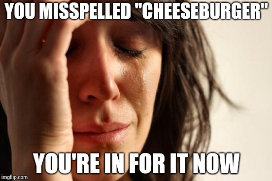 First World Problems Meme | YOU MISSPELLED "CHEESEBURGER" YOU'RE IN FOR IT NOW | image tagged in memes,first world problems | made w/ Imgflip meme maker