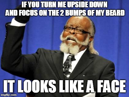 A whole new meaning to "turn a frown upside down" | IF YOU TURN ME UPSIDE DOWN AND FOCUS ON THE 2 BUMPS OF MY BEARD; IT LOOKS LIKE A FACE | image tagged in memes,too damn high | made w/ Imgflip meme maker