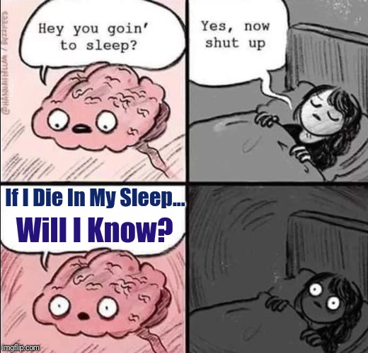 Now... I don't wanna sleep... Ever |  If I Die In My Sleep... Will I Know? | image tagged in waking up brain,memes,insomnia,stay awake all night long,can't sleep,scared to sleep | made w/ Imgflip meme maker