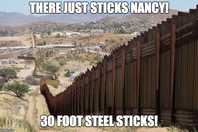 Border Wall 02 | THERE JUST STICKS NANCY! 30 FOOT STEEL STICKS! | image tagged in border wall 02 | made w/ Imgflip meme maker