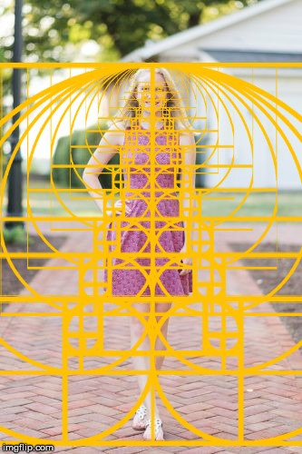A beautiful female and the Golden Ratio. | image tagged in beauty,the golden ratio,female,woman,body,geometry | made w/ Imgflip meme maker