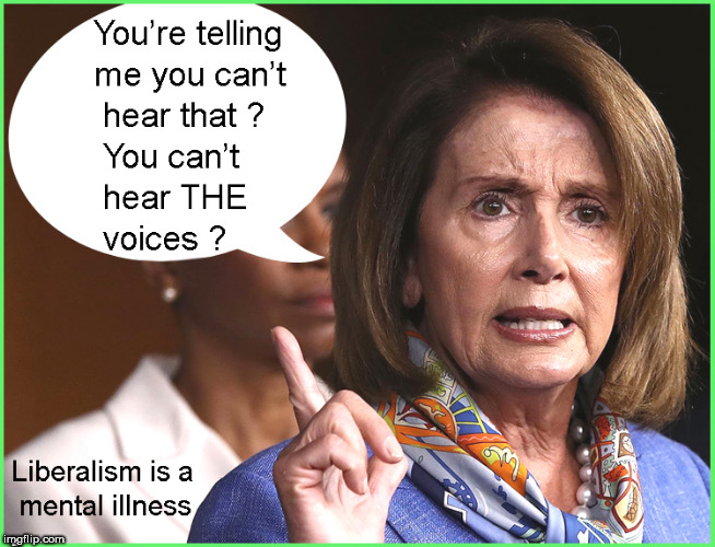 The Brain of Pelosi | . | image tagged in nancy pelosi,lol so funny,politics lol,funny memes,mental illness,current events | made w/ Imgflip meme maker