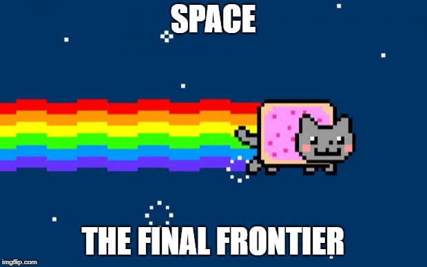 Nyan Cat | SPACE; THE FINAL FRONTIER | image tagged in nyan cat | made w/ Imgflip meme maker