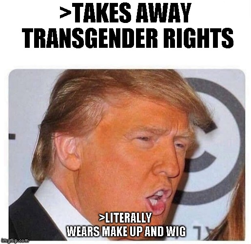 scumbag trump | >TAKES AWAY TRANSGENDER RIGHTS; >LITERALLY WEARS MAKE UP AND WIG | image tagged in trump,politics | made w/ Imgflip meme maker