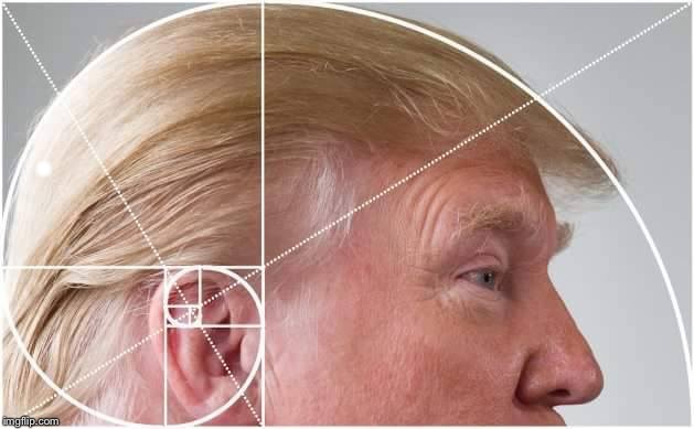 Trump Golden Spiral | . | image tagged in trump golden spiral | made w/ Imgflip meme maker