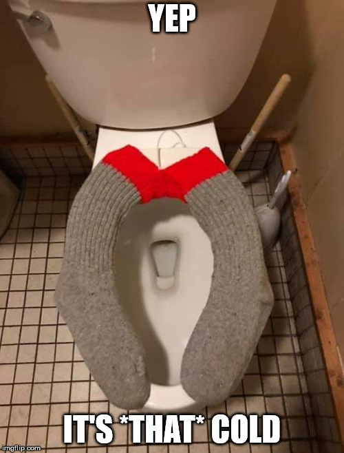 The women in your life will appreciate it, tho | YEP; IT'S *THAT* COLD | image tagged in polar vortex,winter,women,toilet | made w/ Imgflip meme maker