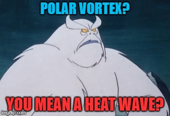Overmanly Yeti  | POLAR VORTEX? YOU MEAN A HEAT WAVE? | image tagged in funny memes,meme,winter,polar vortex,cold | made w/ Imgflip meme maker