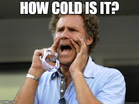 Will Ferrell yelling  | HOW COLD IS IT? | image tagged in will ferrell yelling | made w/ Imgflip meme maker