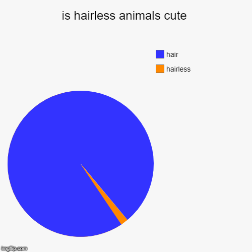 is hairless animals cute | hairless, hair | image tagged in funny,pie charts | made w/ Imgflip chart maker