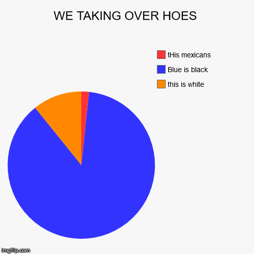 WE TAKING OVER HOES | this is white, Blue is black, tHis mexicans | image tagged in funny,pie charts | made w/ Imgflip chart maker