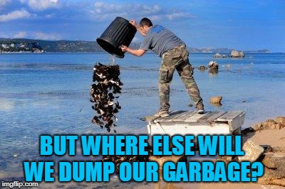 pollution  | BUT WHERE ELSE WILL WE DUMP OUR GARBAGE? | image tagged in pollution | made w/ Imgflip meme maker