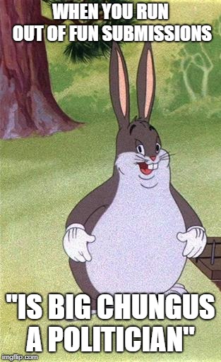 He would be a great president | WHEN YOU RUN OUT OF FUN SUBMISSIONS; "IS BIG CHUNGUS A POLITICIAN" | image tagged in big chungus | made w/ Imgflip meme maker
