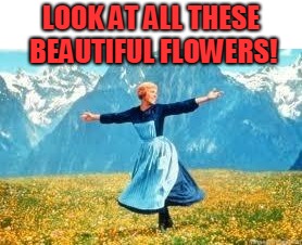 Look At All These Meme | LOOK AT ALL THESE BEAUTIFUL FLOWERS! | image tagged in memes,look at all these | made w/ Imgflip meme maker