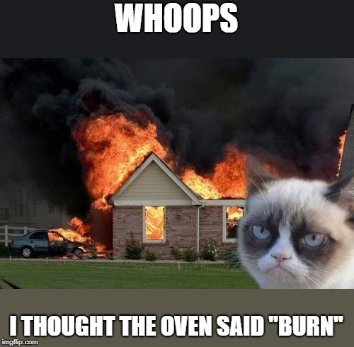 Burn Kitty | WHOOPS; I THOUGHT THE OVEN SAID "BURN" | image tagged in memes,burn kitty,grumpy cat | made w/ Imgflip meme maker
