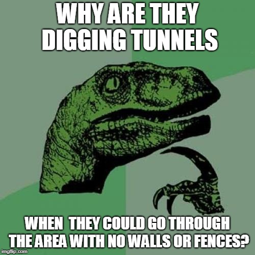 Philosoraptor Meme | WHY ARE THEY DIGGING TUNNELS; WHEN  THEY COULD GO THROUGH THE AREA WITH NO WALLS OR FENCES? | image tagged in memes,philosoraptor | made w/ Imgflip meme maker