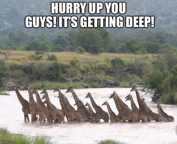 HURRY UP YOU GUYS! IT’S GETTING DEEP! | made w/ Imgflip meme maker