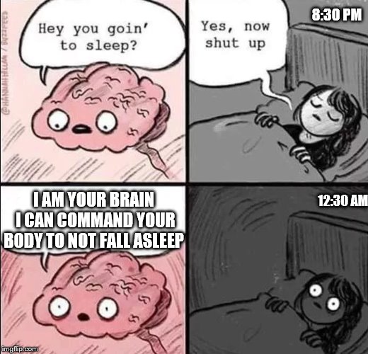 waking up brain | 8:30 PM; 12:30 AM; I AM YOUR BRAIN I CAN COMMAND YOUR BODY TO NOT FALL ASLEEP | image tagged in waking up brain | made w/ Imgflip meme maker