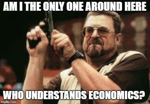 Am I The Only One Around Here Meme | AM I THE ONLY ONE AROUND HERE WHO UNDERSTANDS ECONOMICS? | image tagged in memes,am i the only one around here | made w/ Imgflip meme maker