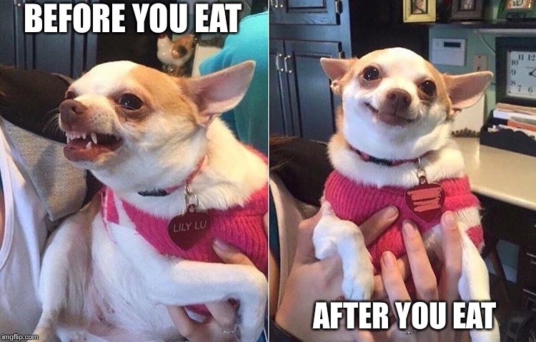 angry dog meme | BEFORE YOU EAT; AFTER YOU EAT | image tagged in angry dog meme,dog meme,funny dog meme,funny memes,dogs,funny dogs | made w/ Imgflip meme maker