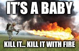 Kill it with fire | IT’S A BABY KILL IT... KILL IT WITH FIRE | image tagged in kill it with fire | made w/ Imgflip meme maker