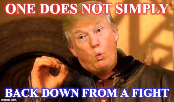 One Does Not Simply Trump | ONE DOES NOT SIMPLY BACK DOWN FROM A FIGHT | image tagged in one does not simply trump | made w/ Imgflip meme maker