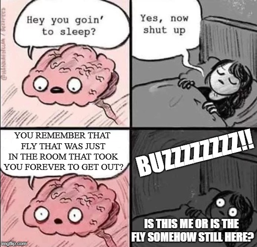 waking up brain | YOU REMEMBER THAT FLY THAT WAS JUST IN THE ROOM THAT TOOK YOU FOREVER TO GET OUT? BUZZZZZZZZ!! IS THIS ME OR IS THE FLY SOMEHOW STILL HERE? | image tagged in waking up brain | made w/ Imgflip meme maker
