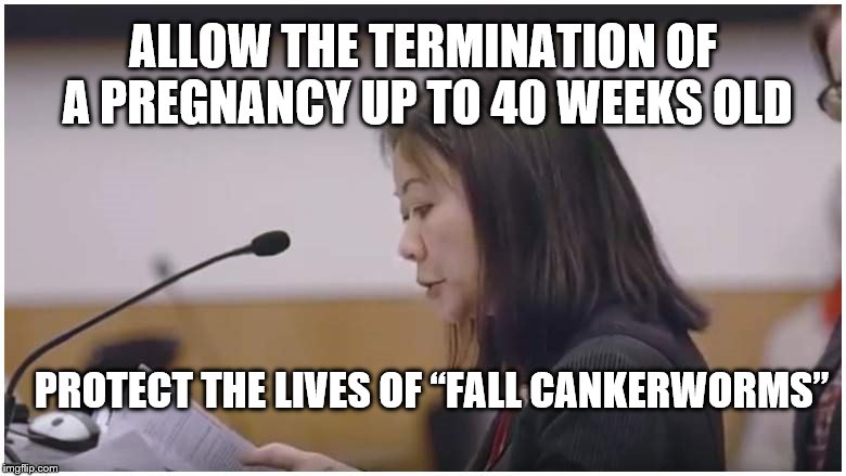 Kill the babies but save the caterpillars | ALLOW THE TERMINATION OF A PREGNANCY UP TO 40 WEEKS OLD; PROTECT THE LIVES OF “FALL CANKERWORMS” | image tagged in caterpillar,babies | made w/ Imgflip meme maker