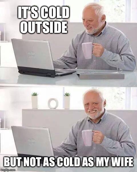 Hide the Pain Harold Meme | IT’S COLD OUTSIDE; BUT NOT AS COLD AS MY WIFE | image tagged in memes,hide the pain harold | made w/ Imgflip meme maker