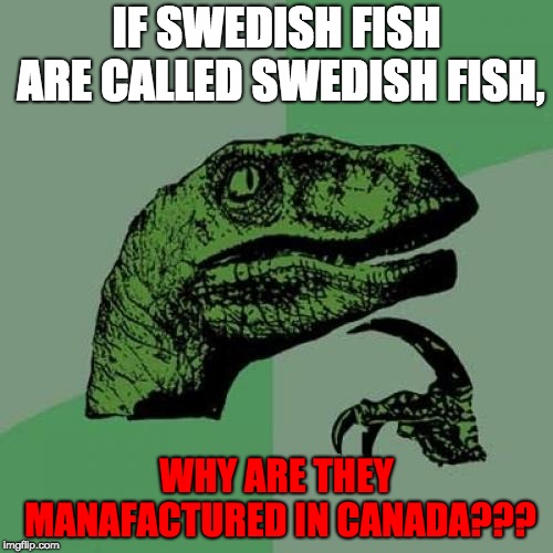 Philosoraptor | IF SWEDISH FISH ARE CALLED SWEDISH FISH, WHY ARE THEY MANAFACTURED IN CANADA??? | image tagged in memes,philosoraptor | made w/ Imgflip meme maker