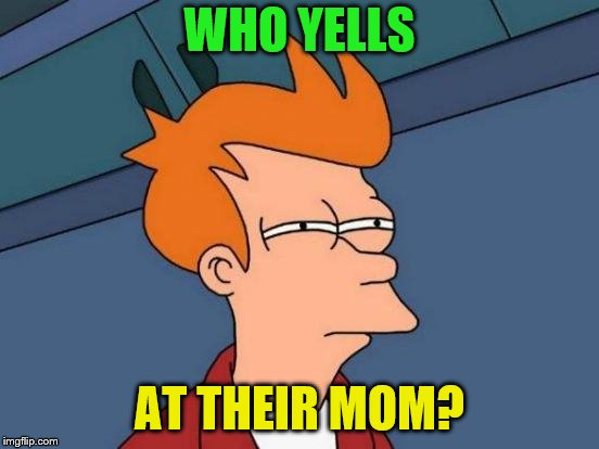 Futurama Fry Meme | WHO YELLS AT THEIR MOM? | image tagged in memes,futurama fry | made w/ Imgflip meme maker
