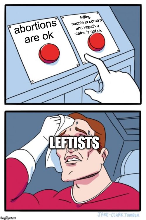 your choice matters |  killing people in coma's and vegative states is not ok; abortions are ok; LEFTISTS | image tagged in memes,two buttons | made w/ Imgflip meme maker