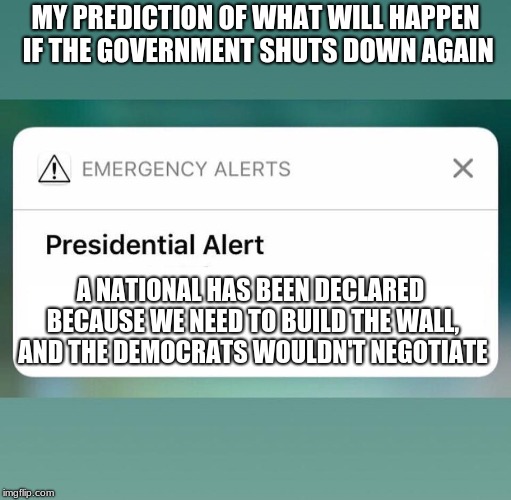 Presidential Alert | MY PREDICTION OF WHAT WILL HAPPEN IF THE GOVERNMENT SHUTS DOWN AGAIN; A NATIONAL HAS BEEN DECLARED BECAUSE WE NEED TO BUILD THE WALL, AND THE DEMOCRATS WOULDN'T NEGOTIATE | image tagged in presidential alert | made w/ Imgflip meme maker