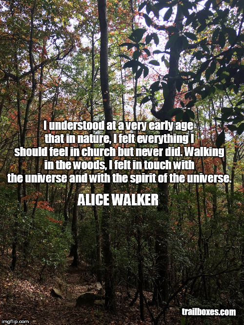 Nature | I understood at a very early age that in nature, I felt everything I should feel in church but never did. Walking in the woods, I felt in touch with the universe and with the spirit of the universe. ALICE WALKER; trailboxes.com | image tagged in hiking | made w/ Imgflip meme maker