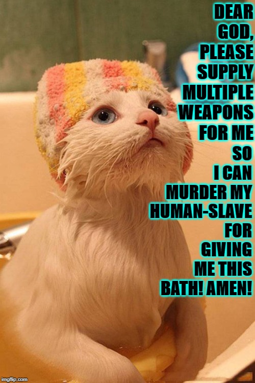DEAR GOD, PLEASE SUPPLY MULTIPLE WEAPONS FOR ME; SO I CAN MURDER MY HUMAN-SLAVE FOR GIVING ME THIS BATH! AMEN! | image tagged in cat prayer | made w/ Imgflip meme maker