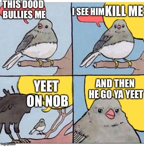 annoyed bird | THIS DOOD BULLIES ME; I SEE HIM; KILL ME; AND THEN HE GO YA YEET; YEET ON NOB | image tagged in annoyed bird | made w/ Imgflip meme maker