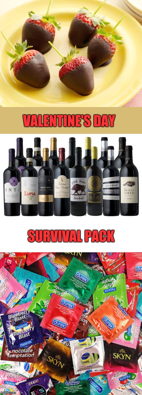 VALENTINE'S DAY SURVIVAL PACK | made w/ Imgflip meme maker