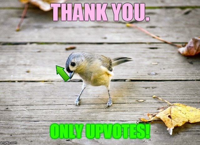 THANK YOU. ONLY UPVOTES! | made w/ Imgflip meme maker