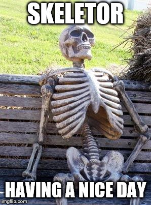 Waiting Skeleton Meme | SKELETOR; HAVING A NICE DAY | image tagged in memes,waiting skeleton | made w/ Imgflip meme maker