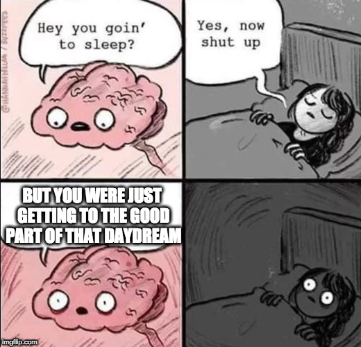 waking up brain | BUT YOU WERE JUST GETTING TO THE GOOD PART OF THAT DAYDREAM | image tagged in waking up brain | made w/ Imgflip meme maker