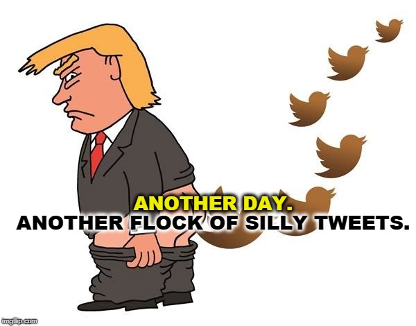 ANOTHER DAY. ANOTHER FLOCK OF SILLY TWEETS. | image tagged in trump,tweet,twitter,silly | made w/ Imgflip meme maker