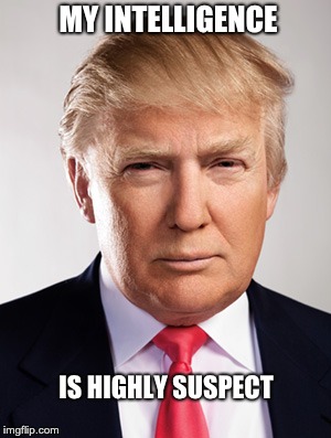 Donald Trump |  MY INTELLIGENCE; IS HIGHLY SUSPECT | image tagged in donald trump | made w/ Imgflip meme maker