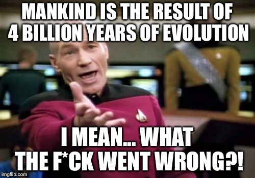 Evolution for ya | MANKIND IS THE RESULT OF 4 BILLION YEARS OF EVOLUTION; I MEAN... WHAT THE F*CK WENT WRONG?! | image tagged in memes,picard wtf | made w/ Imgflip meme maker