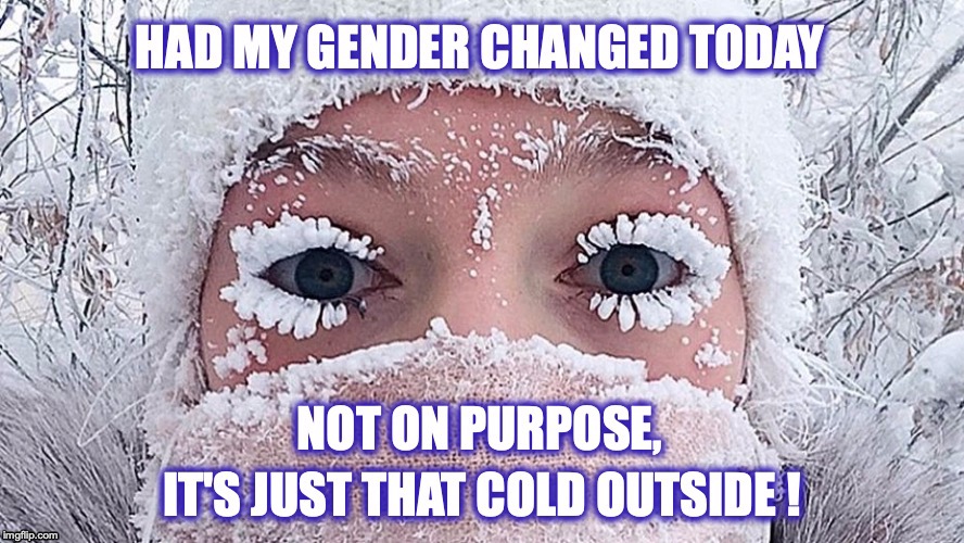 It's so cold.. 'How Cold is it?" ... | image tagged in cold,gender reassignment | made w/ Imgflip meme maker