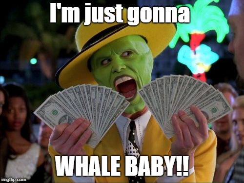 Money Money Meme | I'm just gonna; WHALE BABY!! | image tagged in memes,money money | made w/ Imgflip meme maker