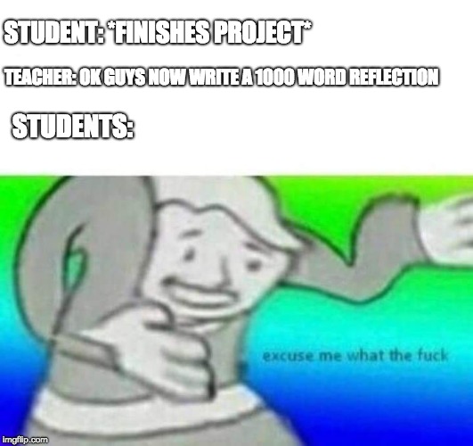 Fallout What thy f*ck | STUDENT: *FINISHES PROJECT*; TEACHER: OK GUYS NOW WRITE A 1000 WORD REFLECTION; STUDENTS: | image tagged in fallout what thy fck | made w/ Imgflip meme maker