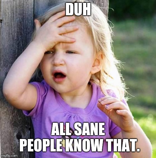 duh | DUH ALL SANE PEOPLE KNOW THAT. | image tagged in duh | made w/ Imgflip meme maker