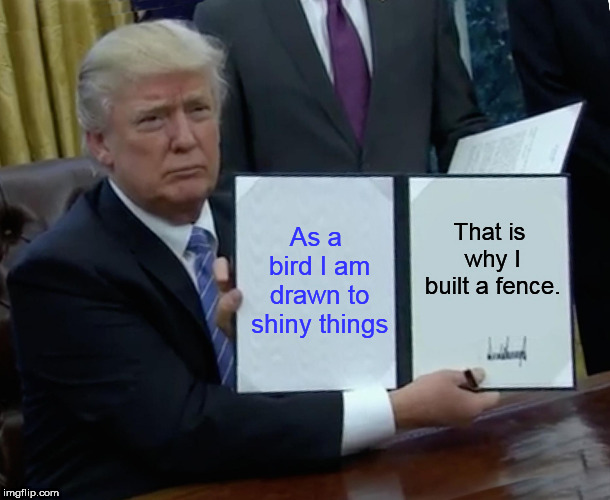 Trump Bill Signing Meme | As a bird I am drawn to shiny things; That is why I built a fence. | image tagged in memes,trump bill signing | made w/ Imgflip meme maker