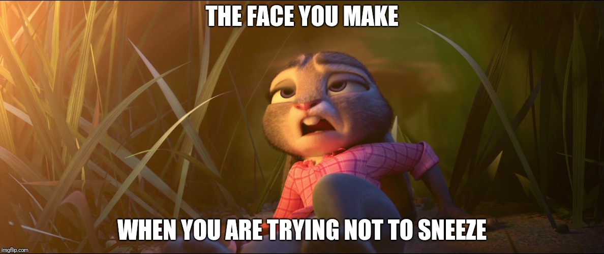 Sneeze Face - Zootopia edition | THE FACE YOU MAKE; WHEN YOU ARE TRYING NOT TO SNEEZE | image tagged in judy hopps sneeze,zootopia,judy hopps,sneeze,funny,memes | made w/ Imgflip meme maker