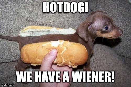 Hotdog | HOTDOG! WE HAVE A WIENER! | image tagged in hotdog | made w/ Imgflip meme maker
