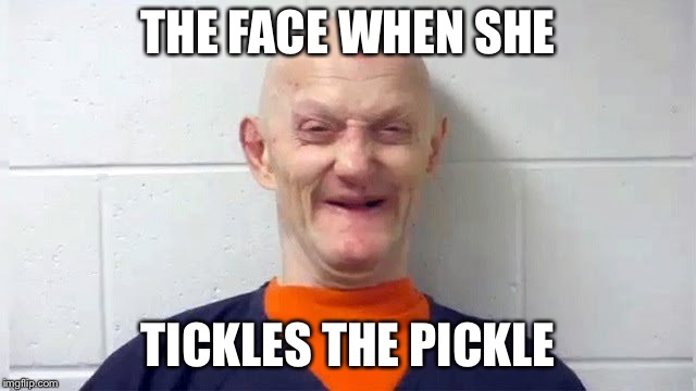 The face when she tickles the pickle | THE FACE WHEN SHE; TICKLES THE PICKLE | image tagged in memes,funny memes,mugshot,meth,just say no | made w/ Imgflip meme maker
